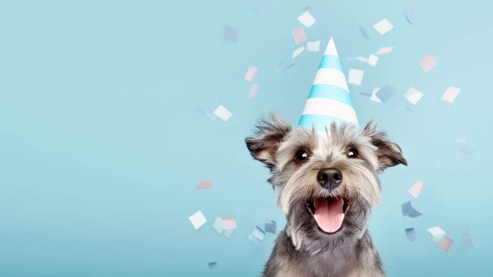 Celebrate these pet holidays all February long.