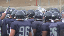 Image for story: Nevada football's Ty Gangi and Malik Reed named to preseason watch lists