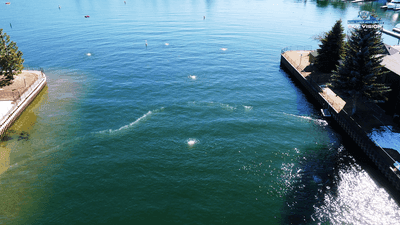 Image for story: Sky Vision checks out new way to fight invasive species in Lake Tahoe